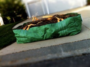 Dumpster Bags