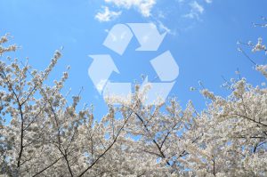 Columbus Spring cleaning