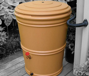 Columbus Rain Barrel